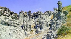 Притвор за сопругот на Димитровска која наплаќаше за Куклица, фрлал камења кон инспектори на УЈП