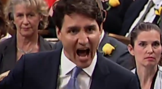 Your Image alt