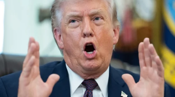Your Image alt
