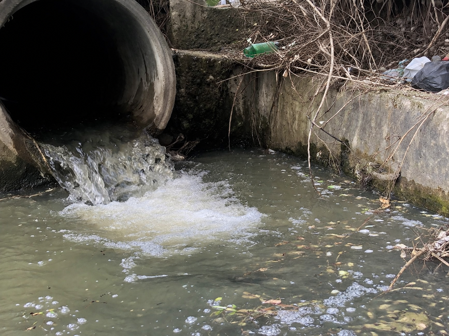 Еве што пиеле гостиварчани – Во водата се наоѓала буквално бактерија која ја има во измет