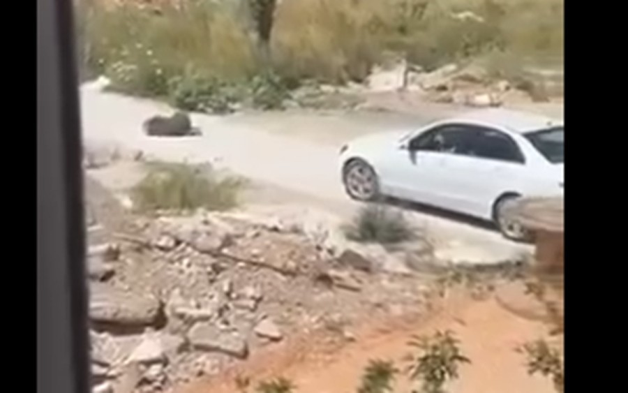 Македонска државјанка уапсена во Црна Гора откако, прегазила куче со својот автомобил